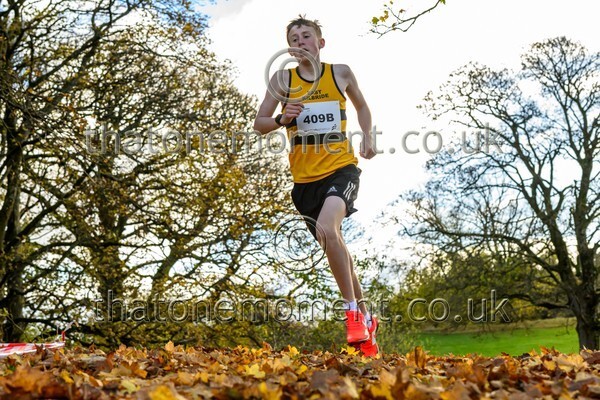 NatRel25-914527 - Young Male Set Two