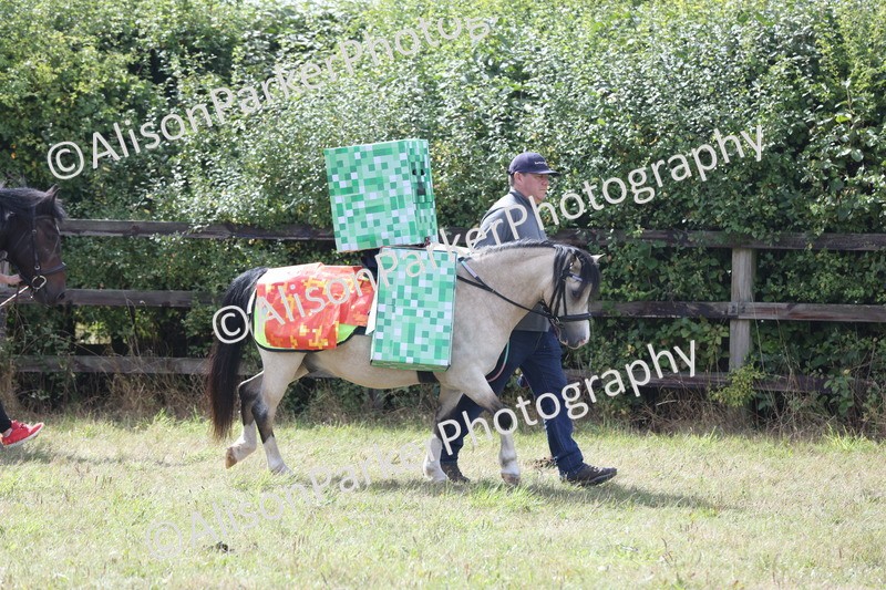 20250831-3607 - Class 26 - Fancy Dress