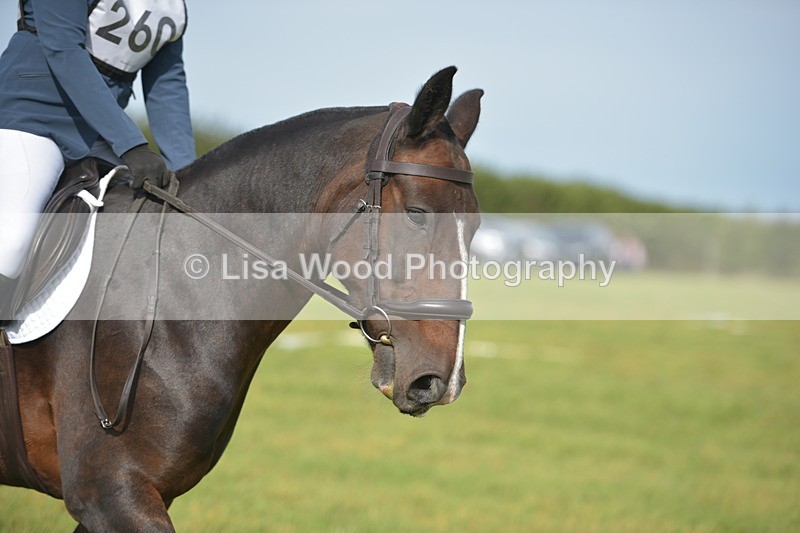 RAY_7796 - Class 2B: Trekenning Open: Dressage
