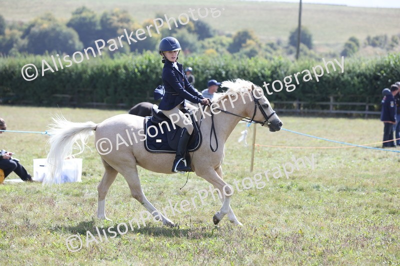 20250831-2838 - Class 18 - Childs First Pony