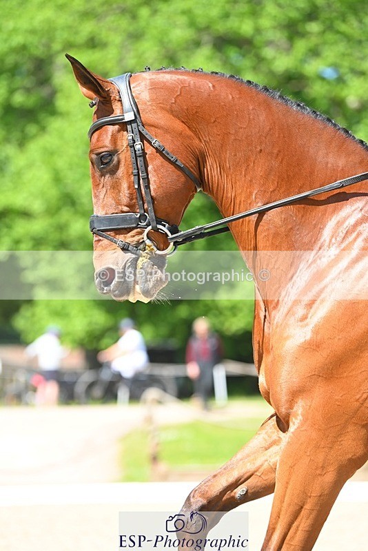 230526-113159-05778 - 468-FARNDON-Tom_Jackson-DR