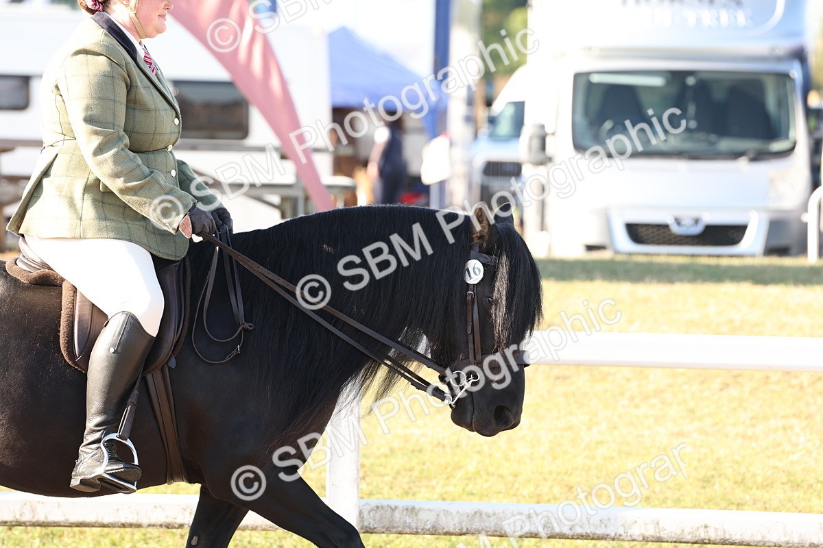 SBM_10820 - Class 202 - Best Turned Out - Ridden