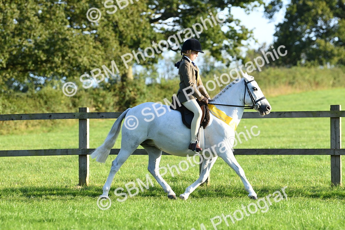 SBM_56398 - 1st Ridden Supreme Championship