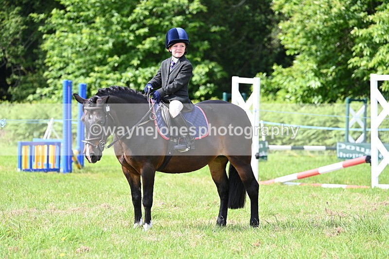 WJ7_0789 - Class 8 First Rally Pony