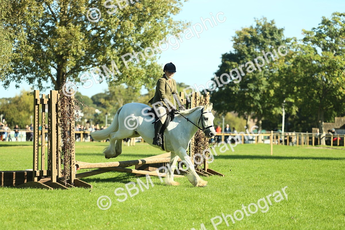 SBM_37378 - S29 - Novice & Newcomers Working Hunter Pony