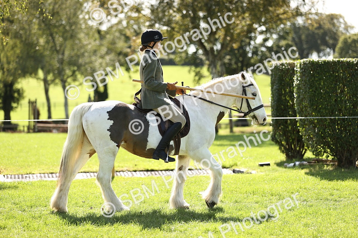SBM_23019 - S4 - Have a Go at Working Equitation