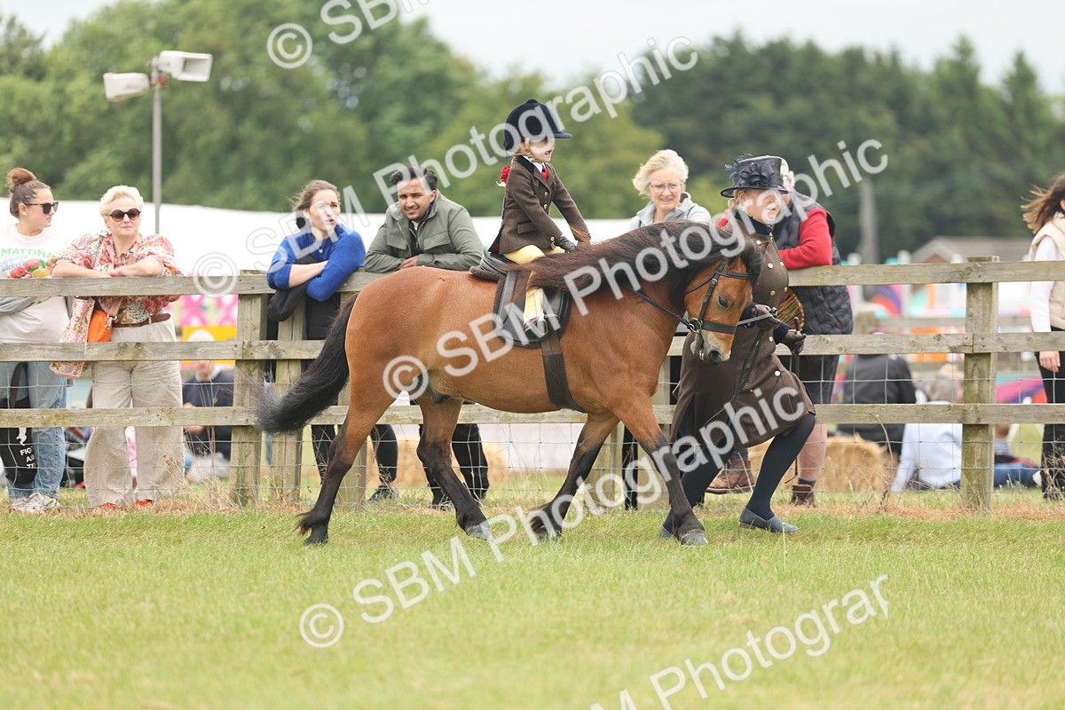 SBM_06709 - Class 74-75 - M&M Lead Rein and First Ridden Pony