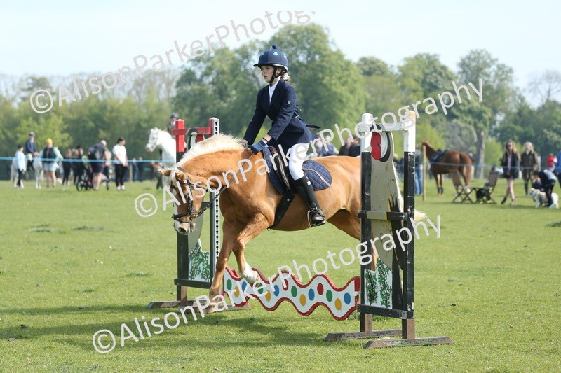 20260426-0159 - Class 13 - Rookie Jumping 50cm