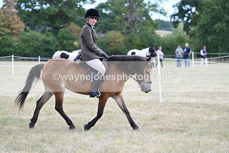 WJ7_5946 - Class 13 Ridden Veterans