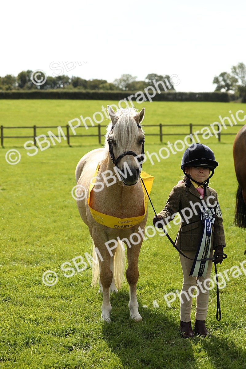 SBM_66382 - In Hand Pony & Youngstock Supreme Championship