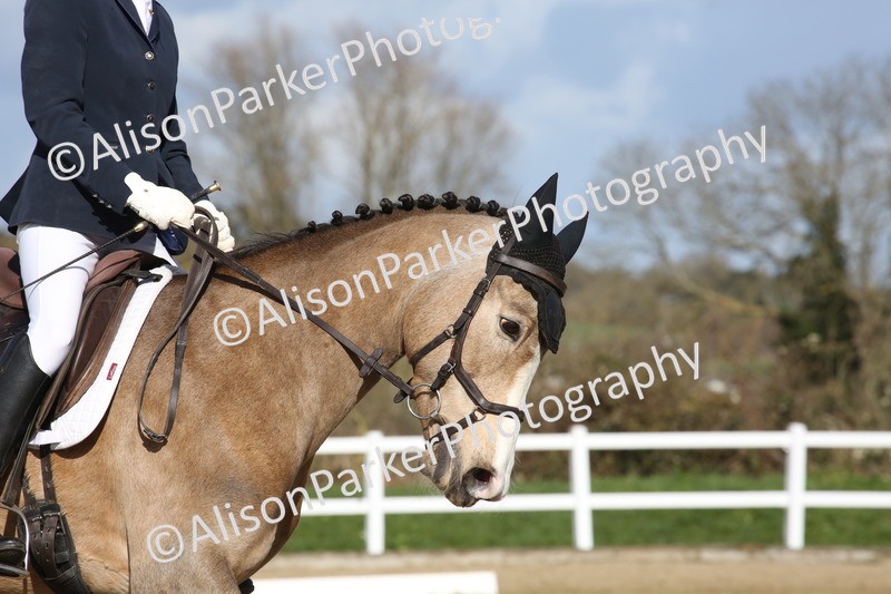 20260314-4273 - DR5 - Novice 1