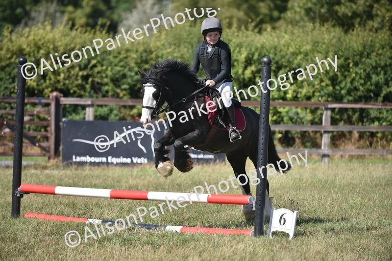 20260906-1690 - Class 9 - Absolute Novice Jumping 45cm
