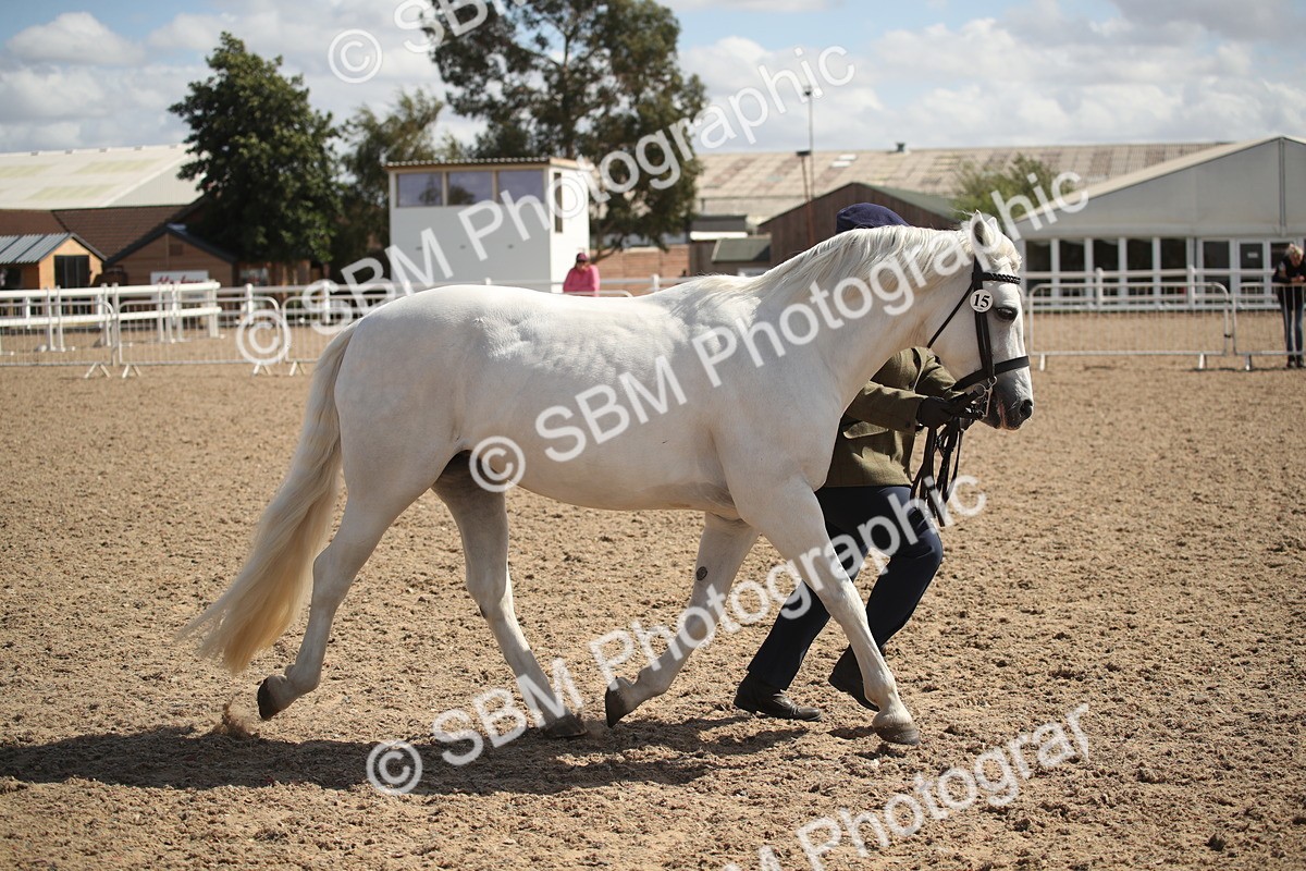 SBM_23136 - Class 606 - 2026 - Area - IH Pre Vet