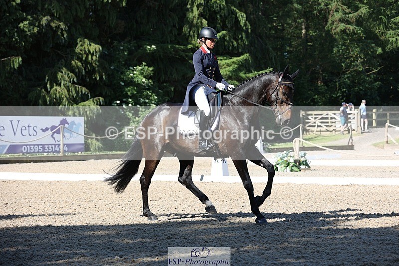 230526-092623-05069 - 355-JASON_KING-Izzy_Taylor-WEDTrotUp+DR