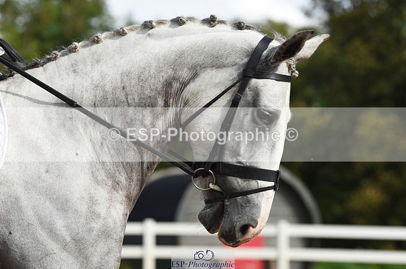 230912A-100810-00253 - Cls 2 Prelim 19