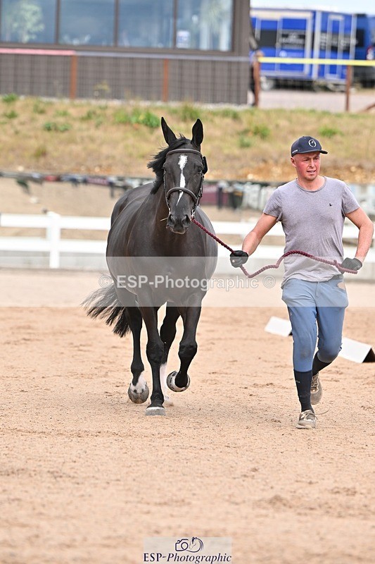 250716-162843-02642 - Trot Up 3.30 to 4.30