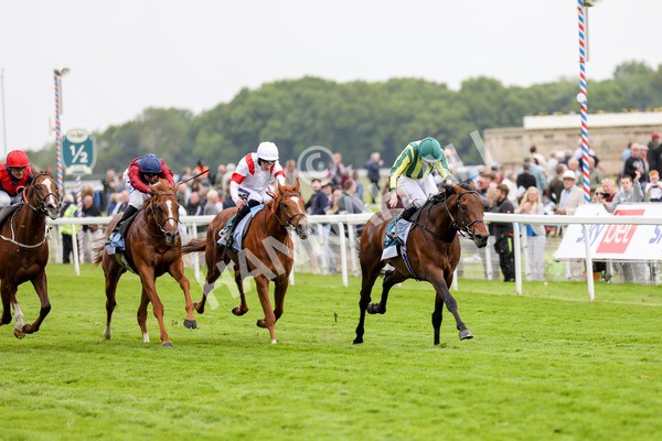 180523-Race 7-Chesspiece-7467 - Race 7 5.20pm Collective Green Energy Handicap