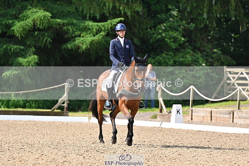 250523A-093934-05289 - C-258-Bill.Levett-ITALIAN.HARLEQUIN.NJ