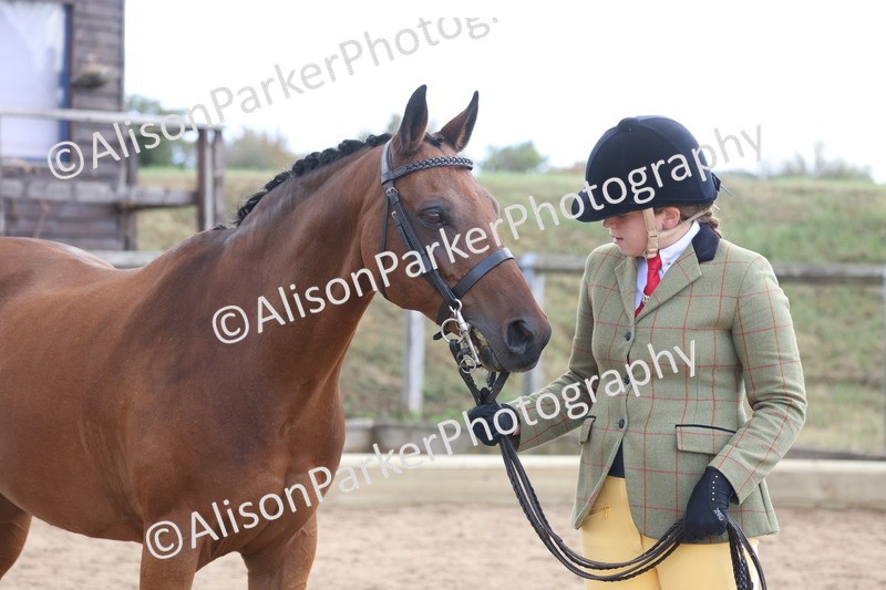 20260831-2365 - Class 9 - Show Pony and Show Hunter