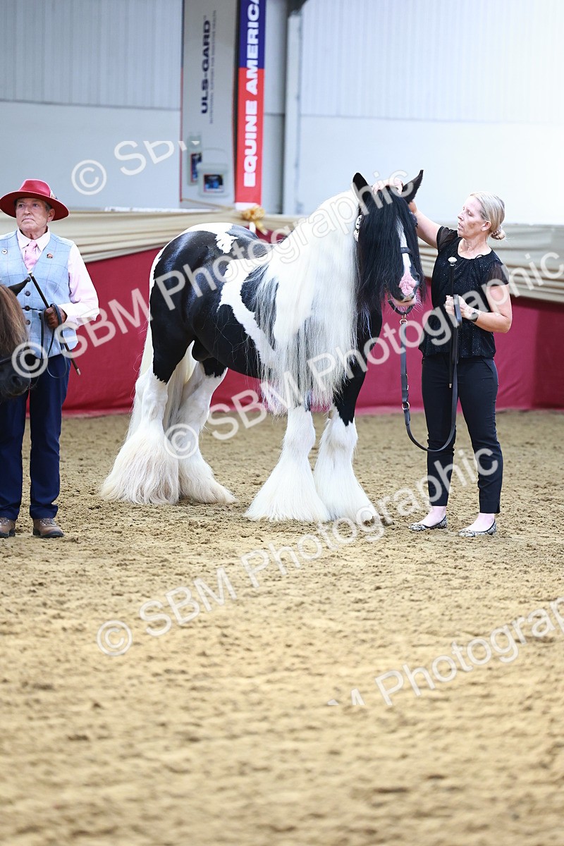 SBM_22340 - Class 902 - Supreme Final - IH Diamond