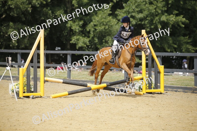 20250622-4003 - 50cm