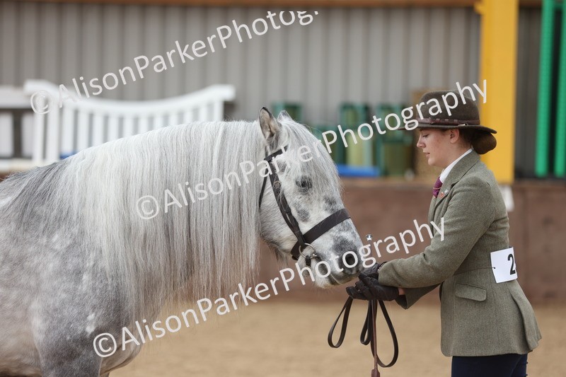 20251109-1034 - Class 28 - Mares 4 Years and over