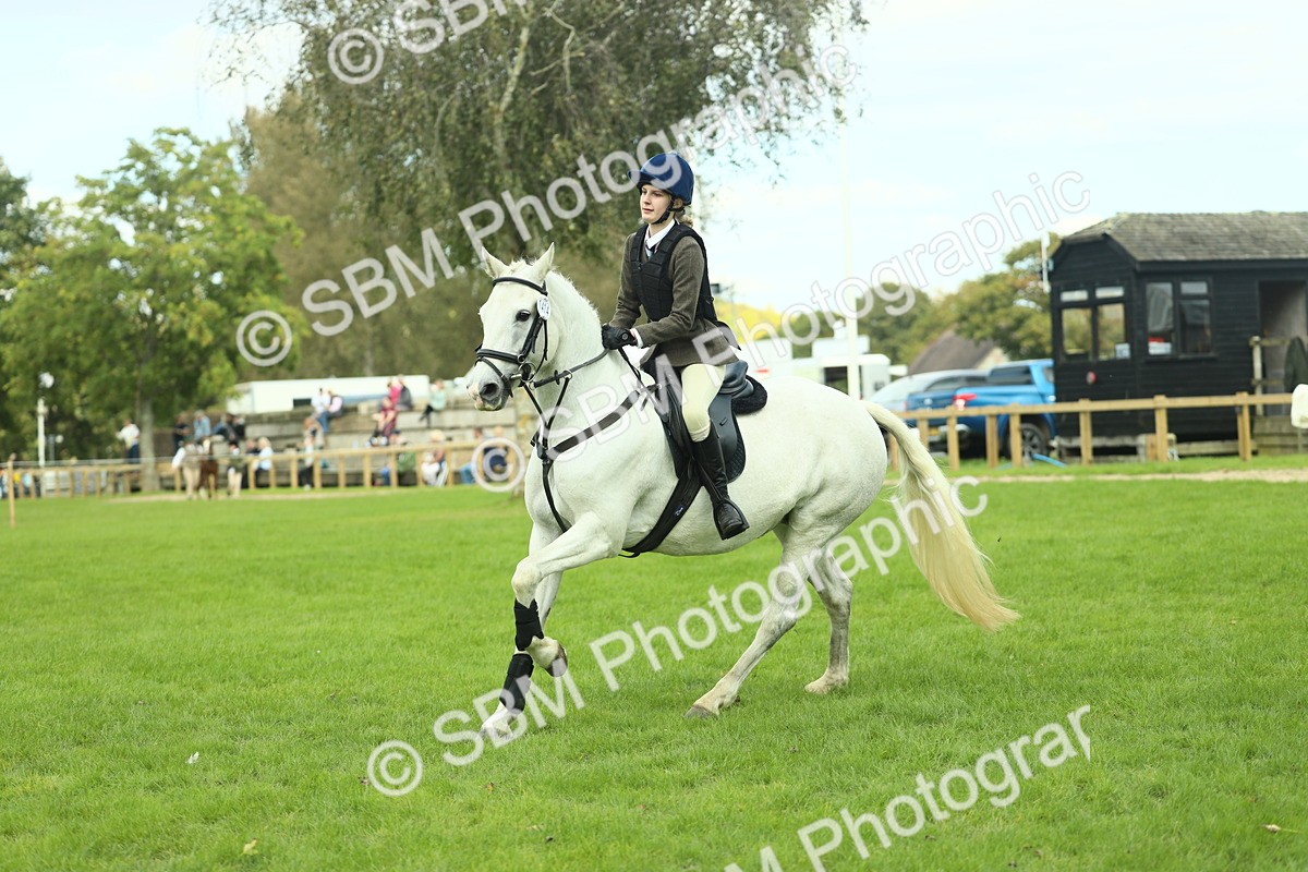 SBM_44728 - S31 - Working Hunter Pony