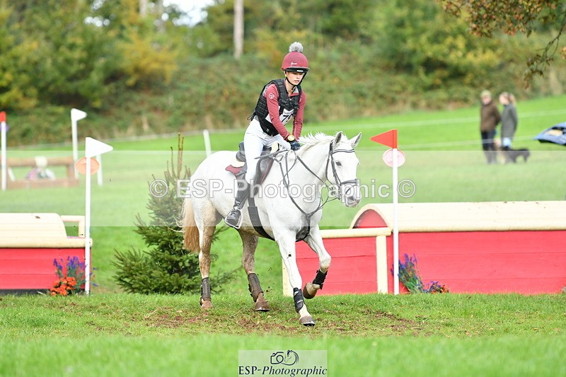 251025A-134906-20118 - F-479-Poppy.Wellman