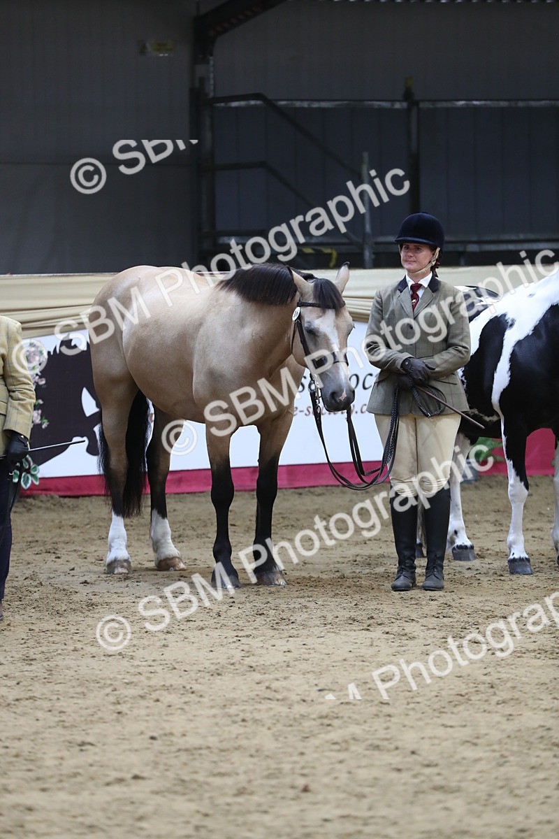 SBM_06442 - Class 9R Regional- IH Pre Vet