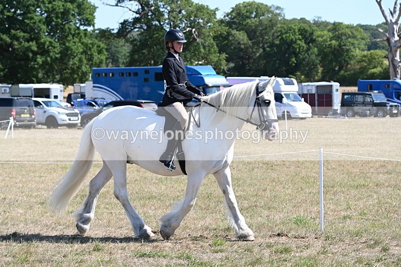 WJ6_8258 - Class 37a Best Loan Pony Ridden