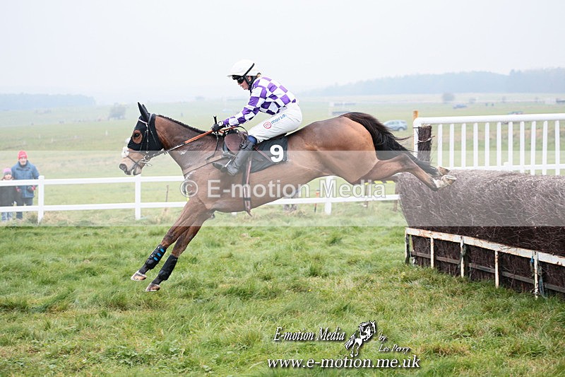 PtP 261123 242 - Hursley Hambledon Point-to-Point Larkhill 26 Nov 2023
