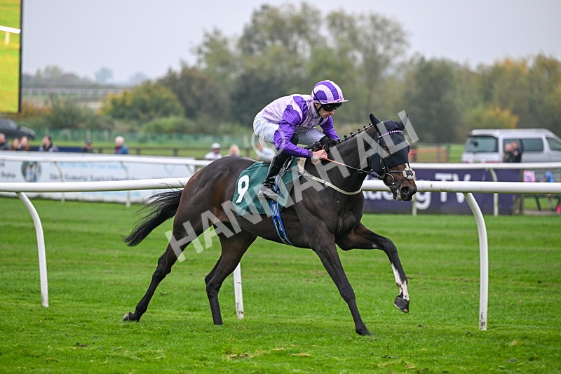 181025-Race 3-Secret Sonata-0491 - Race 3