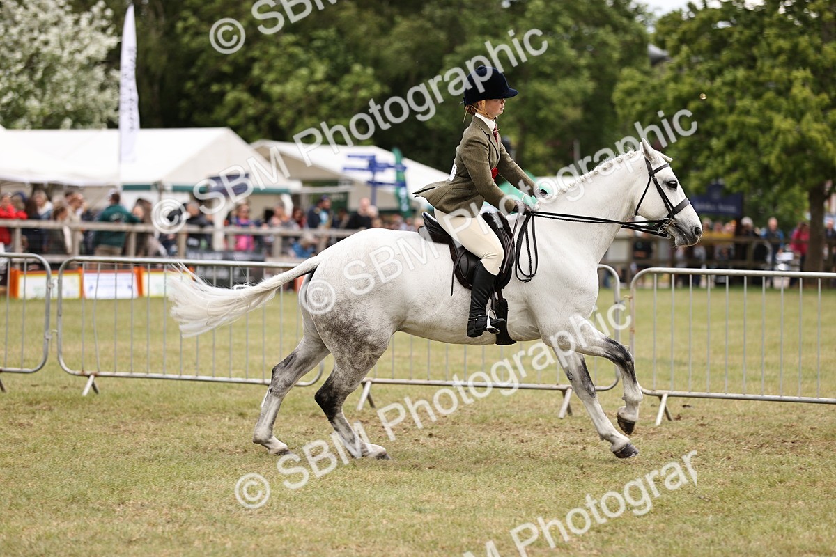 SBM_14818 - Class 88-89 - LIHS BSHA Rising Star of Ridden Hunter Type
