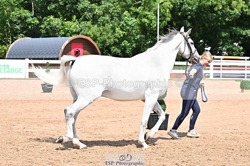 240718A-105315-01763 - Trot Up 1pm to 2pm