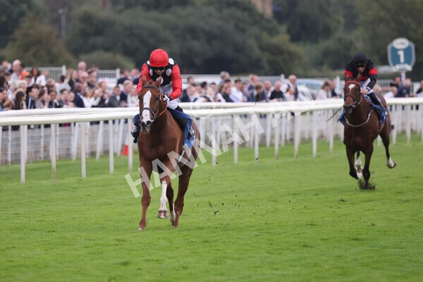 yr24092021r6-25 - Race 6 4.25pm William Hill Pick Your Places Stakes
