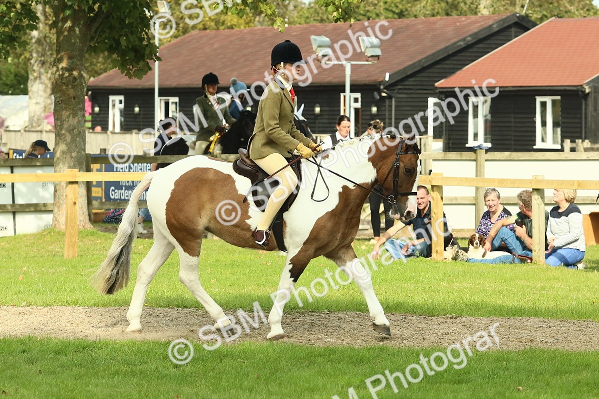 SBM_69021 - S58 - Mini Show Cob Ridden