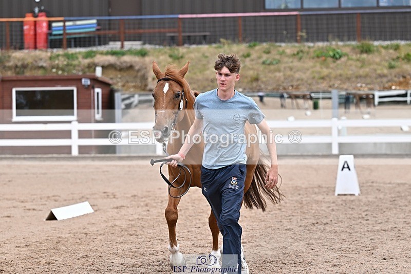 250716-133418-00580 - Trot Up 1.30 to 2.30