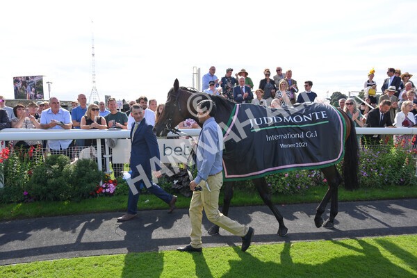 yr18082021r4-179 - Race 4 3.35pm Juddmonte International Stakes (British Champion Series race)