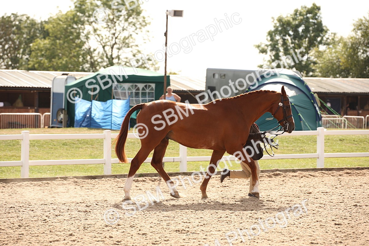 SBM_08157 - Class 27 - IH Competition Horse-Pony