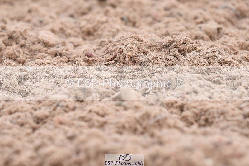 230702A-093728-07835 - Cls 25 Novice 23