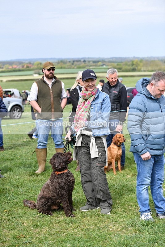 WJ5_9723 - Class 3 Most Handsome Dog