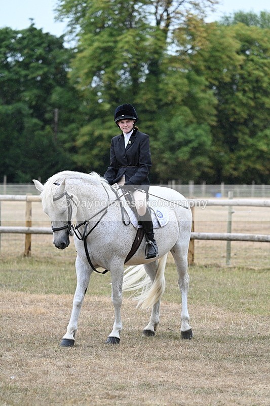 WJ7_0795 - Class 7 Riding Club Show Horse