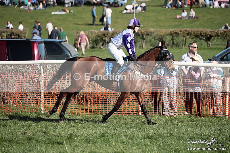 PtP 210326 634 - VWH Cirencester Races 21/03/26