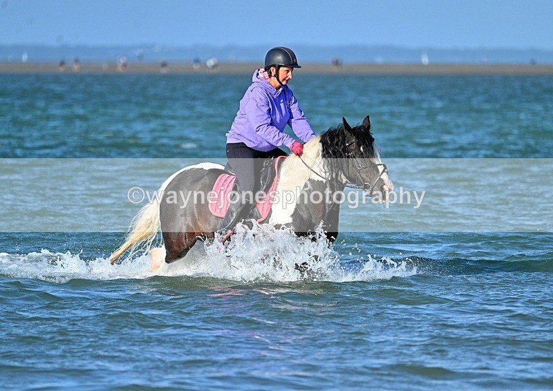 WJ7_3506_1 - Kellie & Churchill ... do Hayling Island 25-08-24