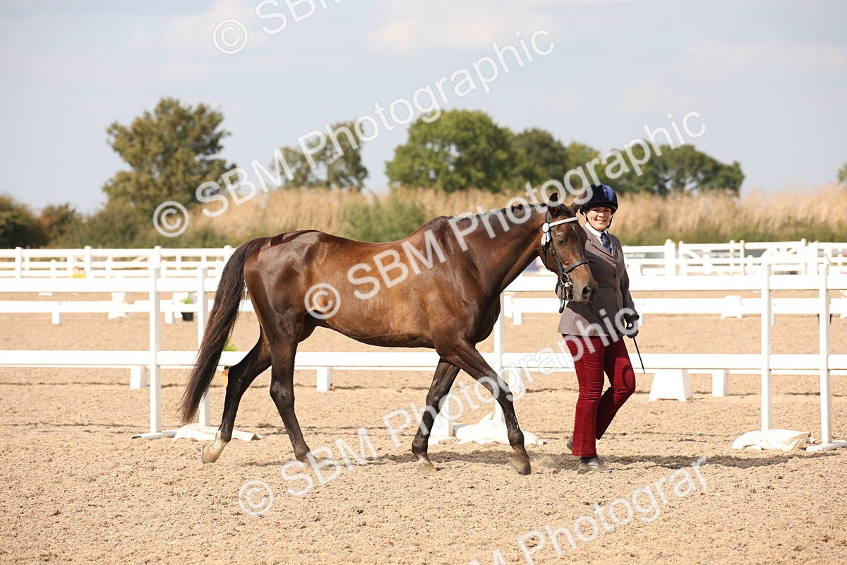 SBM_07035 - Class 25 IH Foreign Breeds- Pure bred
