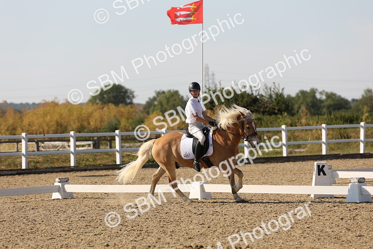 SBM_006942 - Prelim 4 - 15.56-17.51