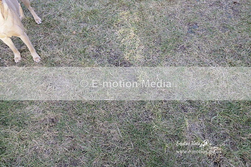 PtP 290123 0924 - Combined Services Point-to-Point  Presentations 05/02/23