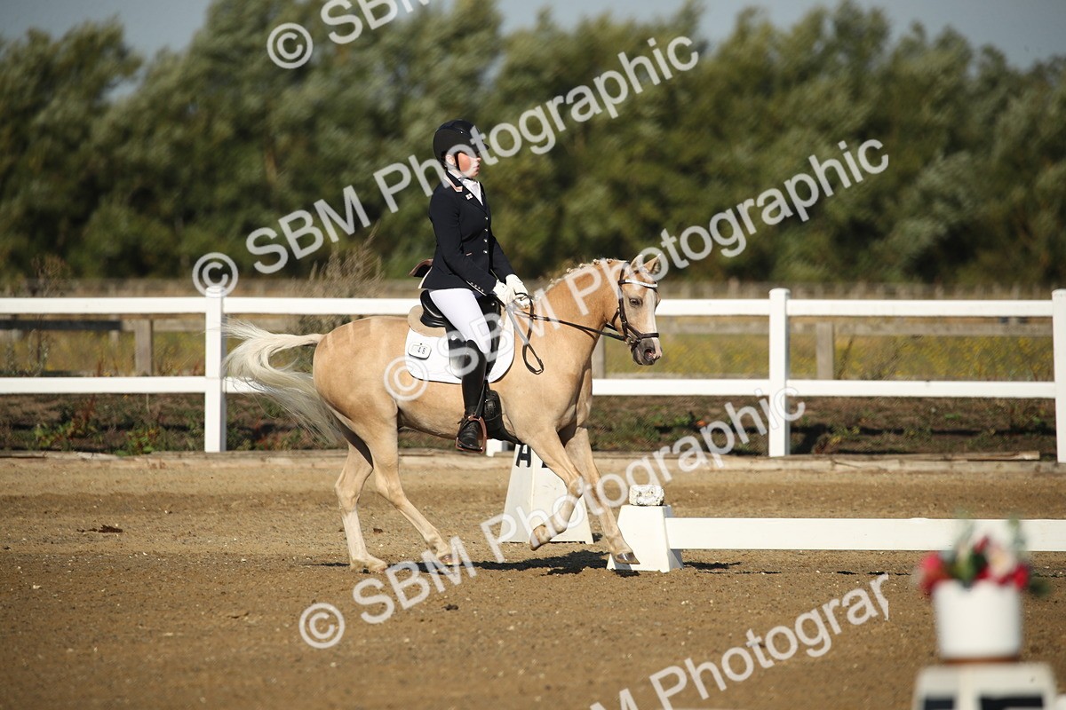 SBM_004455 - Class 11 - Novice 5 - 9.0010.03