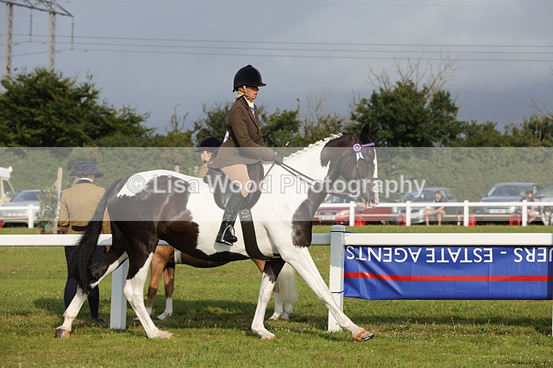1X9A2864 - Class 25: Ridden Plaited Coloured Horse
