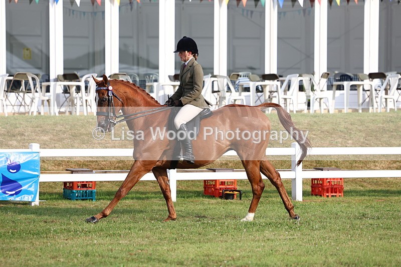 3E7A7717 - Class 1: Rising Star Small Hack/Riding Horses